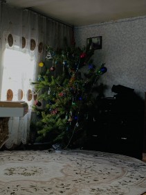 Фото проститутки Альбина №2 в городе Электроугли